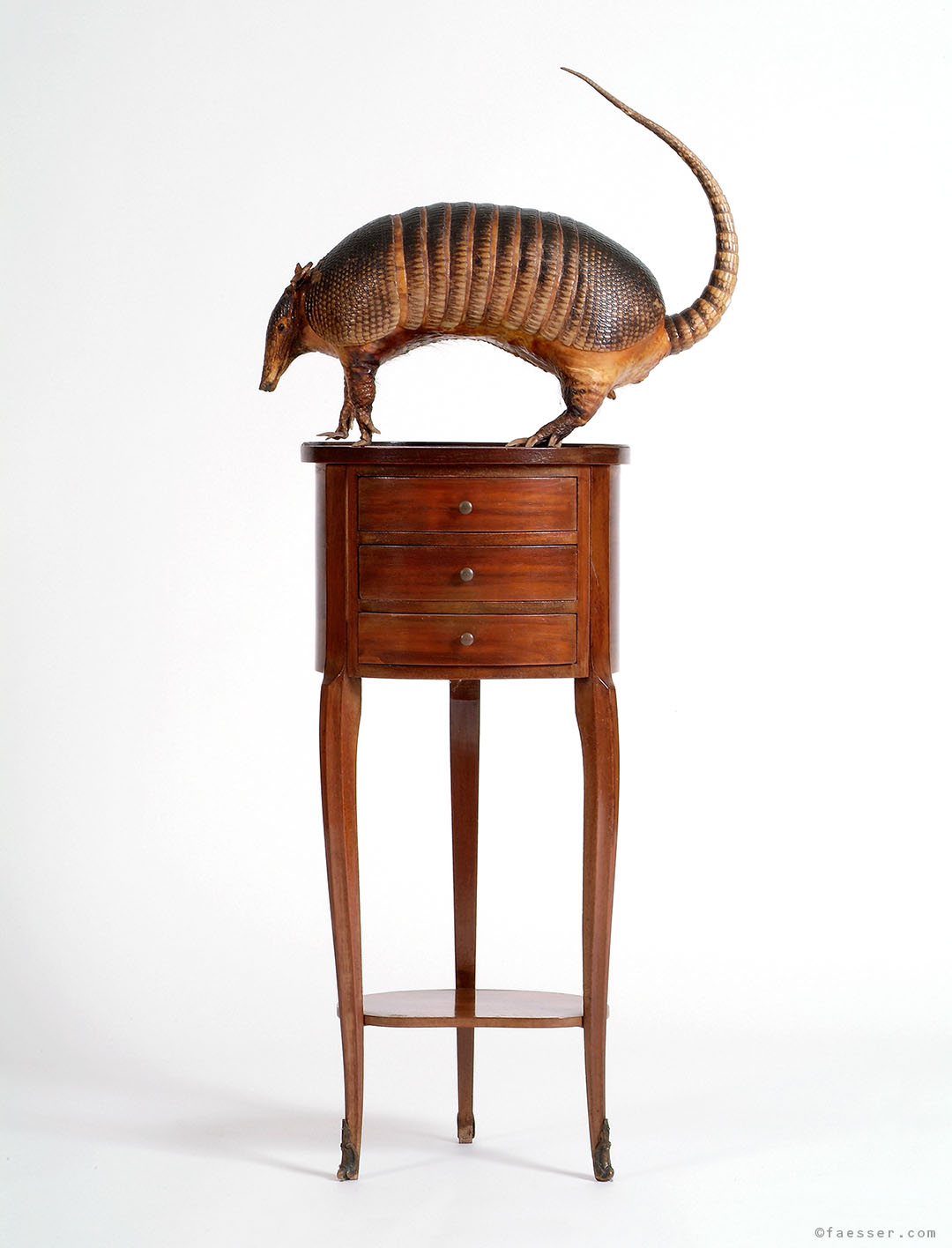 Armadillo on a small furniture chest of drawers; work of art; artist Roland Faesser, sculptor and painter 1990