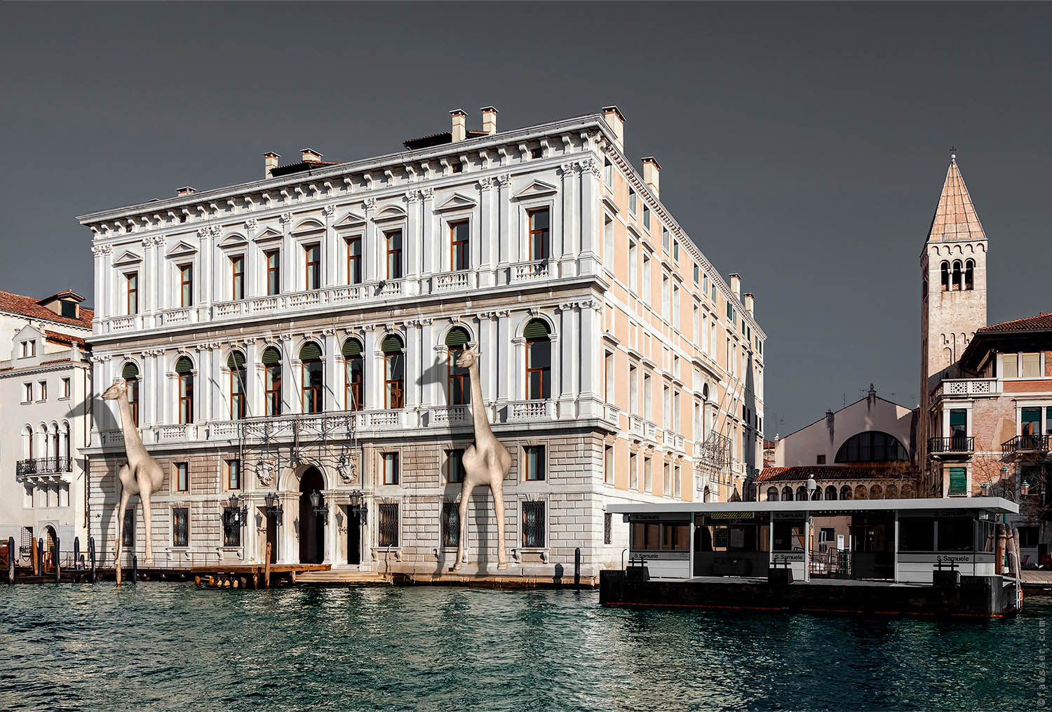 Two giraffes on the Canale Grande facade protecting the Palazzo Grassi in Venice; artist Roland Faesser, sculptor and painter 2020